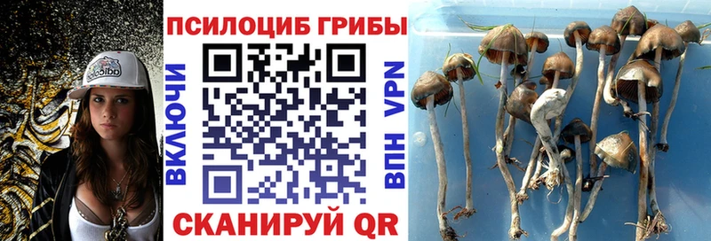 Псилоцибиновые грибы мухоморы Сургут