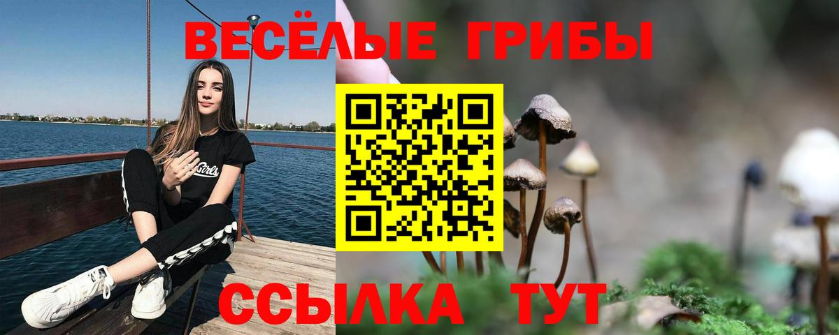 Сургут  Псилоцибиновые грибы Cubensis  Вход с VPN  Псилоцибиновые грибы Cubensis 