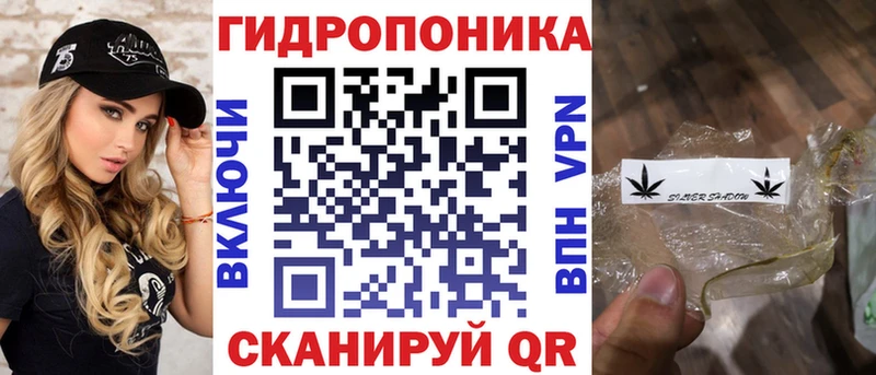 где купить наркотик  Сургут  Конопля планчик 