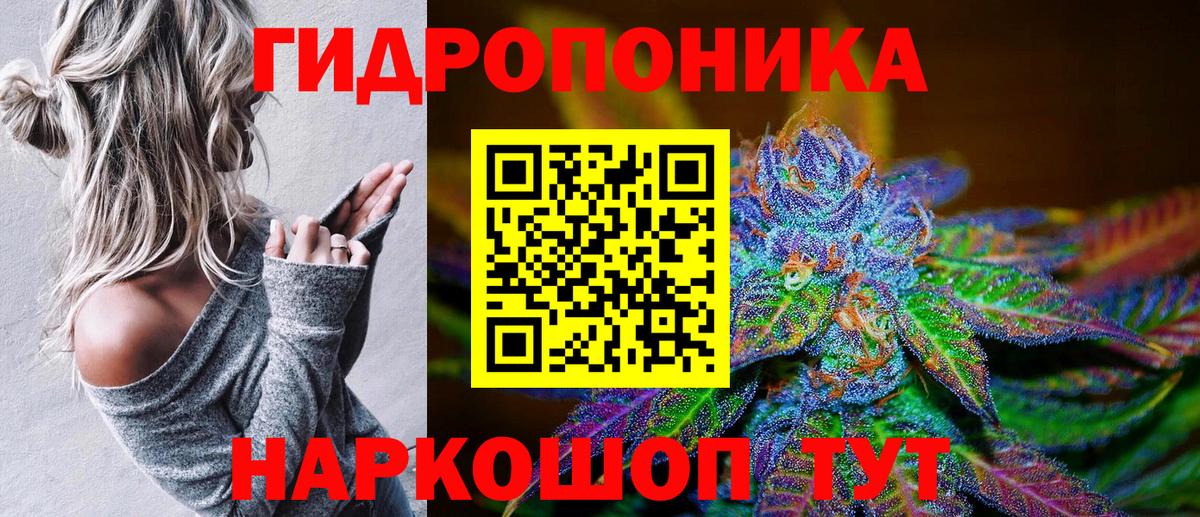Конопля марихуана Сургут